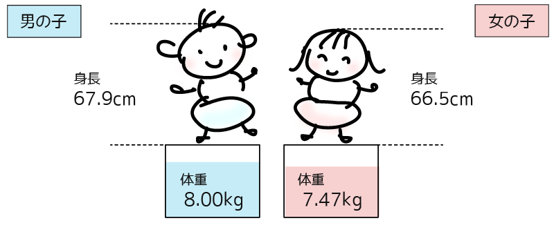 生後6ヶ月の赤ちゃんの平均的な身長や体重/男の子 身長 67.9cm 体重 8.00kg 女の子 身長 66.5cm 体重 7.47kg