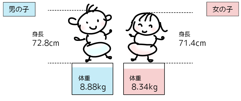 生後9ヶ月の赤ちゃんの平均的な身長や体重/男の子 身長 72.8cm 体重 8.88kg 女の子 身長 71.4cm 体重 8.34kg