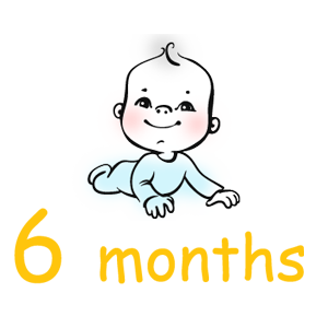 生後6ヶ月の赤ちゃんの歯みがきの進め方