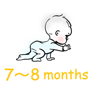 生後7ヶ月～8ヶ月の赤ちゃんの歯みがきの進め方