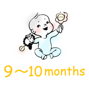 生後9ヶ月～10ヶ月の赤ちゃんの歯みがきの進め方